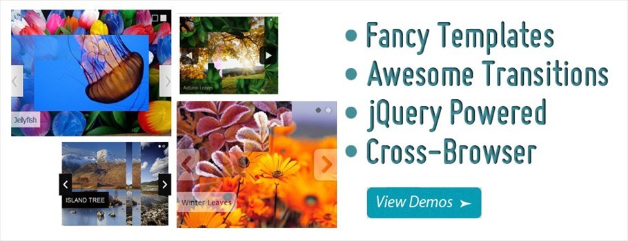You can add description to slides!